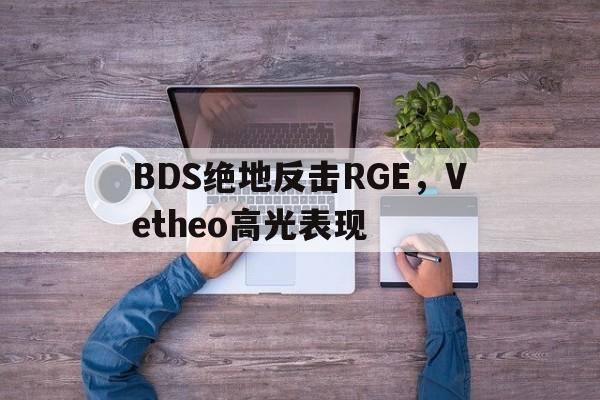 包含BDS绝地反击RGE，Vetheo高光表现的词条